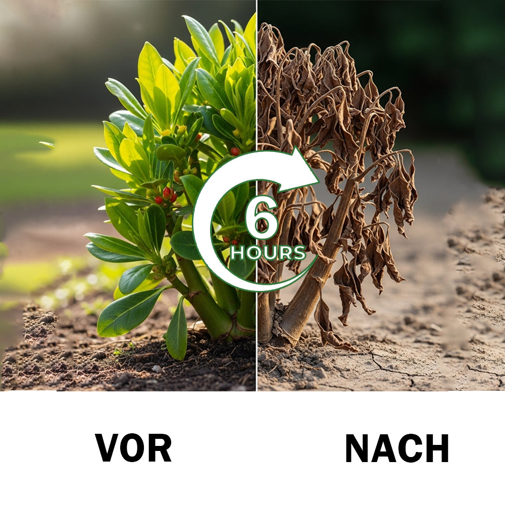 🏆[Offizieller Shop] Cvreoz® 2-in-1 Max Power Herbizid – 6-Stunden-Wirkung – Kein Warten mehr